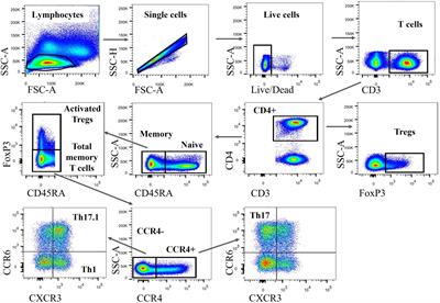 Imbalanced distribution of regulatory T cells and Th17.1 cells in the peripheral blood and BALF of sarcoidosis patients: relationship to disease activity and the fibrotic radiographic phenotype